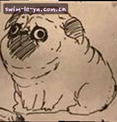张磊